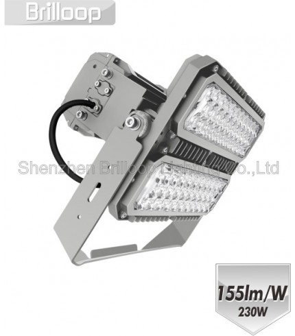 M18: 230W Modular Floodlight